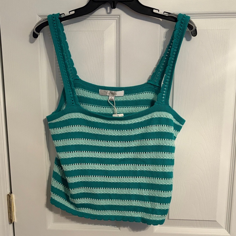 NWT Flat White Brand Striped Green Crochet Crop Top